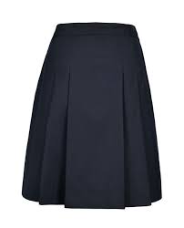 Pleated Skirt