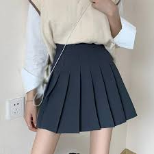 Pleated Skirt